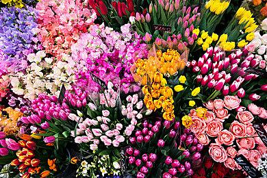 《Eternity's Echo》Steam页面上线 超自然现象调查探索